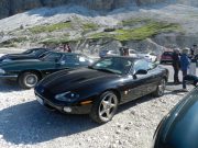 jaguar alle tre cime di lavaredo (6/26)